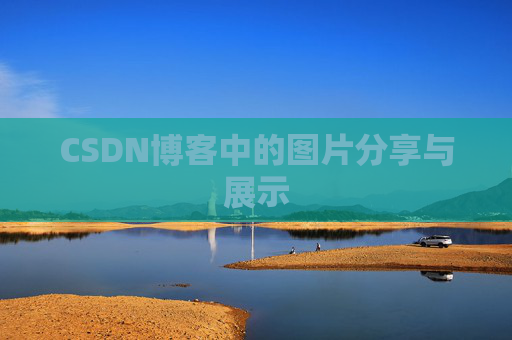 CSDN博客中的图片分享与展示